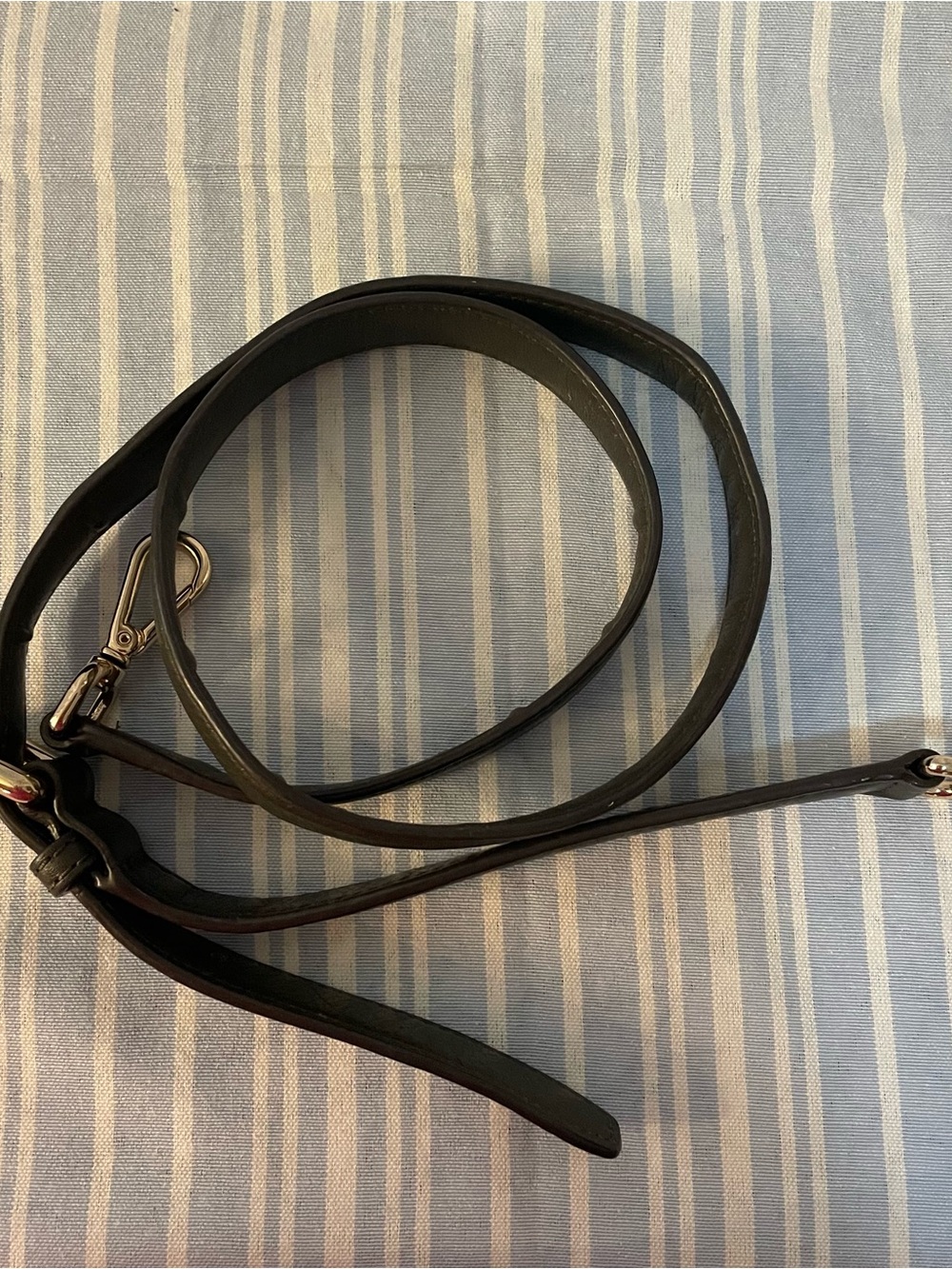 Michael Kors green  Leather Adjustable Crossbody Strap with Silver Clips